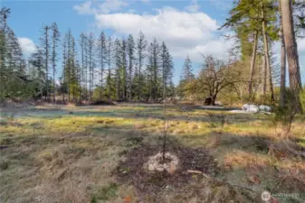 Well head in place on the right and the septic design puts the septc will be all the way in back in front of the tall trees