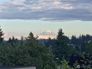 From the deck