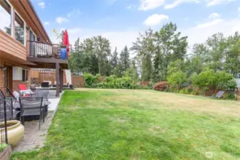Large, level, fully fenced back yard.