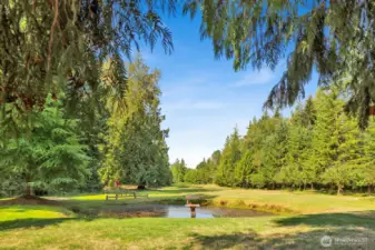 Stunning acreage with its own 3-hole golf course