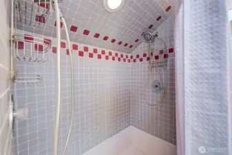 Walk-in shower with dual shower heads!