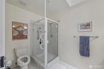 Pole handel in primary bathroom can easily be removed.