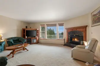 Large living room with propane fireplace.