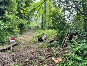 Looking from the property, up the suggested access road. The current guard rail is at the top.