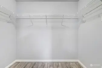 Large main bedroom walk in closet.