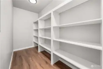 Extra Large Pantry with custom built-ins