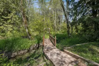 Cross the quiet creek and wander into the wooded part of this 2.16 acre property.