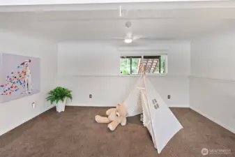 Lower level bonus room