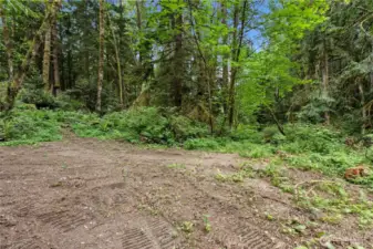 Area down near the creek that will feel like a retreat.
