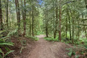 Cleared path for easy access