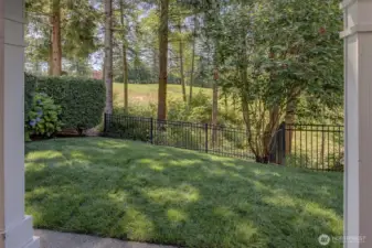 Great back yard space that has endless opportunities for expanding.