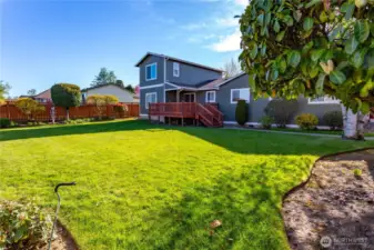 Spacious back yard