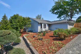 Beautiful South facing flower garden full or irises roses and peonies.