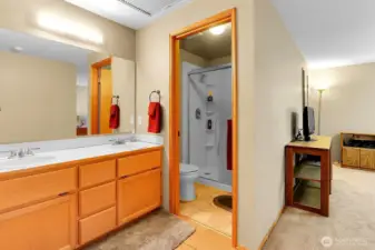 Primary suite bath area