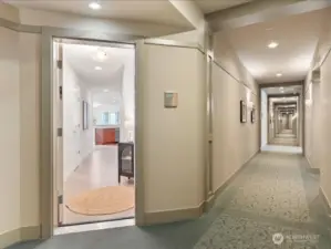 Please come in . . . #205