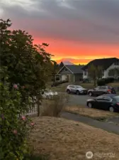 Gorgeous views of Mt. Rainier from the front porch