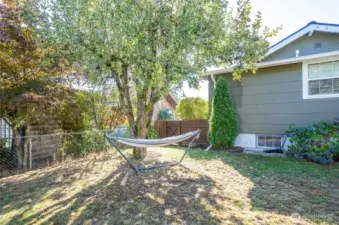 Backyard with fruit trees