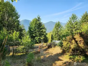 mountain views overlooking the garden area and apple tree