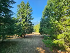 pasture area with mountain views
