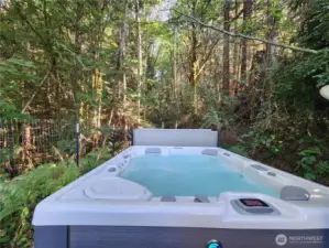 new salt water hot tub