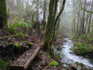 seasonal creek, shown here in winter