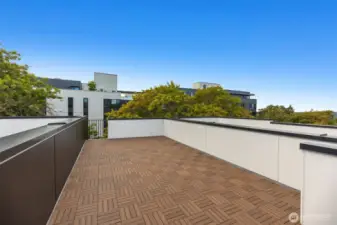 Plenty of entertainment space on the roof top deck!  Territorial/mountain views.  Even a peek-a-boo view of the space needle!