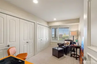 3rd lower level bedroom.