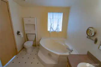 Look at that great jetted tub.