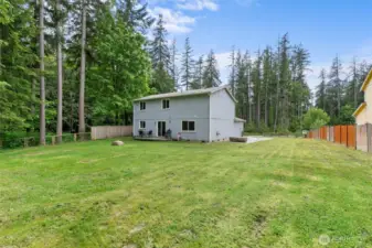 Large Backyard