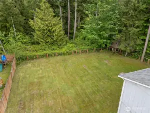 Large Fenced Yard