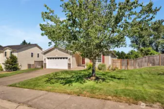 Front Yard