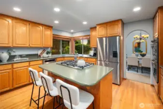 Kitchen ft Fisher and Paykel appliances