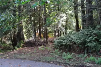 Access to property off easement.