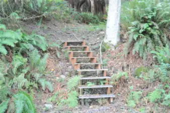 Stairs to water.