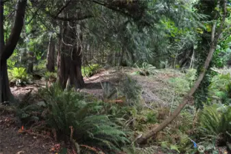 Looking up lot from water area.