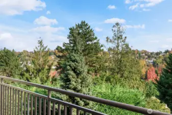 The fall colors are starting to spread throughout the area.