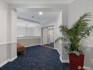 Interior hallway with controlled access, elevator service, and maintained common areas connecting residential units within the building.