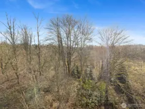 Greenbelt and privacy galore. Enjoy your morning coffee or evening wine from your private patio.