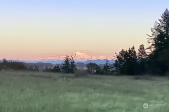 Mount Baker views from back of house.