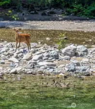 Sightsee, fish, kayak, hike, ski....