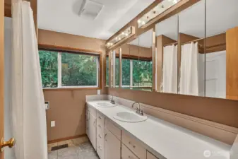 Full Bathroom Basement