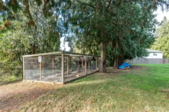 Chicken Coop