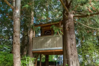 Tree house with power!