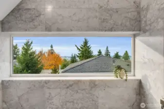 View int he shower facing West.