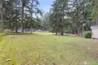 Expansive 1.22-acre level lot surrounded by towering evergreens, offering privacy, room to roam, and endless possibilities. Whether you imagine gardening, outdoor gatherings, pets, or future projects, this open stretch of land gives you the space to create it.
