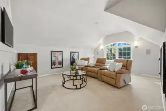 Full theatre! Movie posters and recliners included!