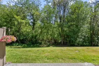 This is your backyard. A nice large grass space. Trees for shading. There is also a pond