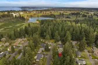 Al the end of Superior St, situated close to the middle of this photo, a narrow path leads directly into the trails of Fort Steilacoom Park. The sellers say that this is what they’ll miss most about this home.