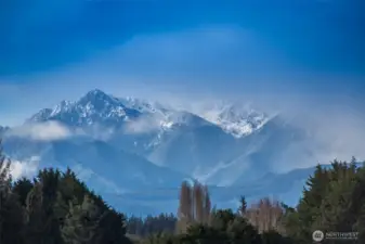 Olympic Mountain view