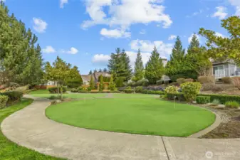 Putt Putt course